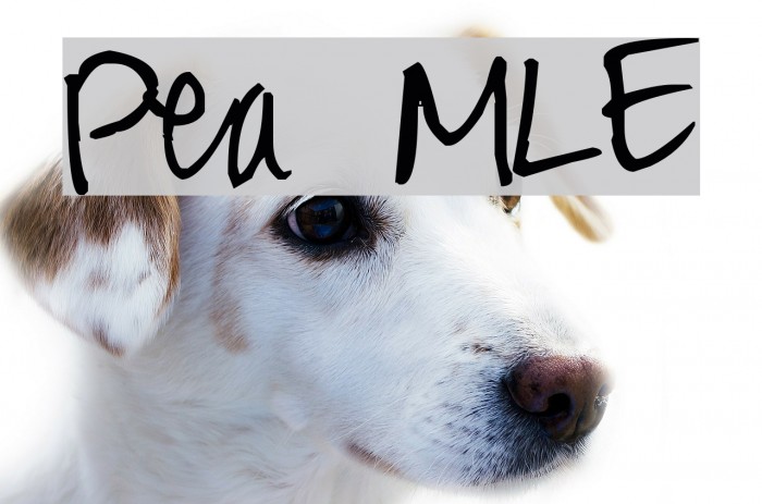 Pea MLE Font examples