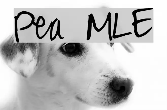 Pea MLE Font examples