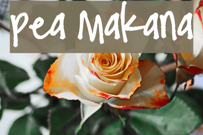 Pea Makana Example 2