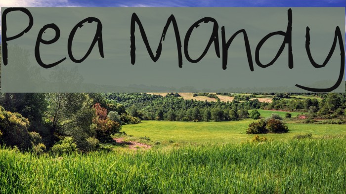 Pea Mandy Font examples