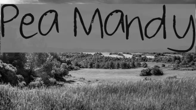 Pea Mandy Font examples