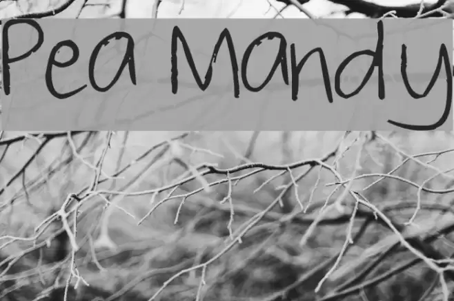 Pea Mandy Font examples