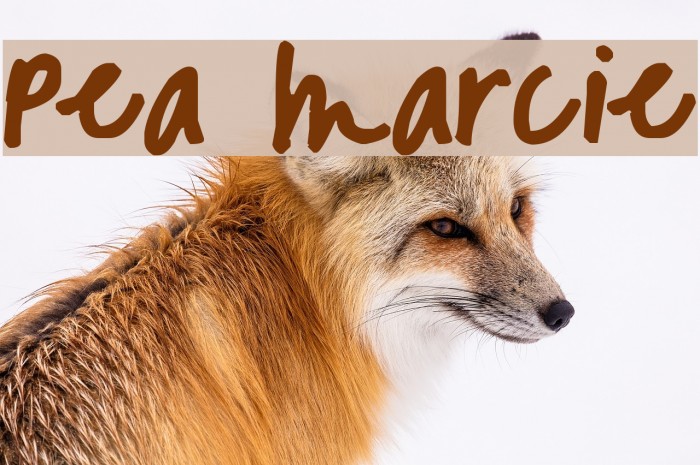 Pea Marcie Font examples