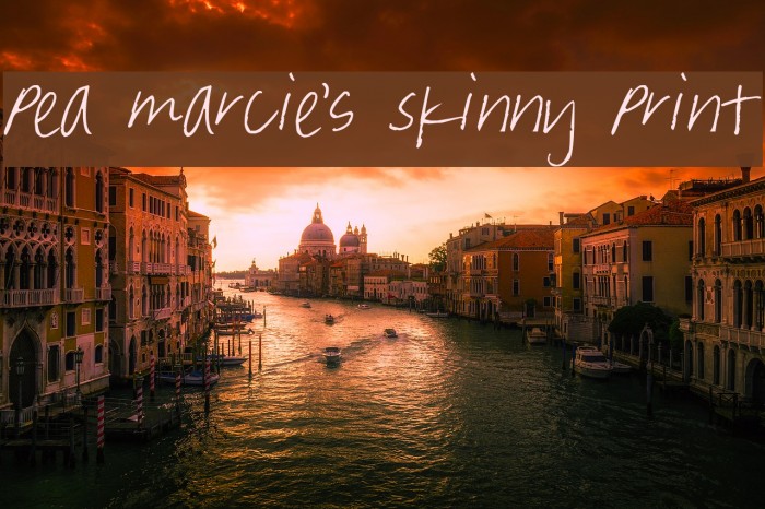 Pea Marcie's Skinny Print Font examples