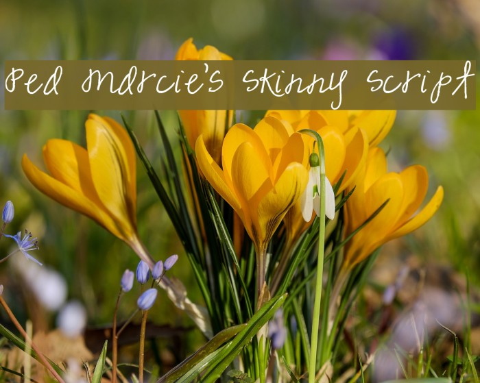 Pea Marcie's Skinny Script Example 1