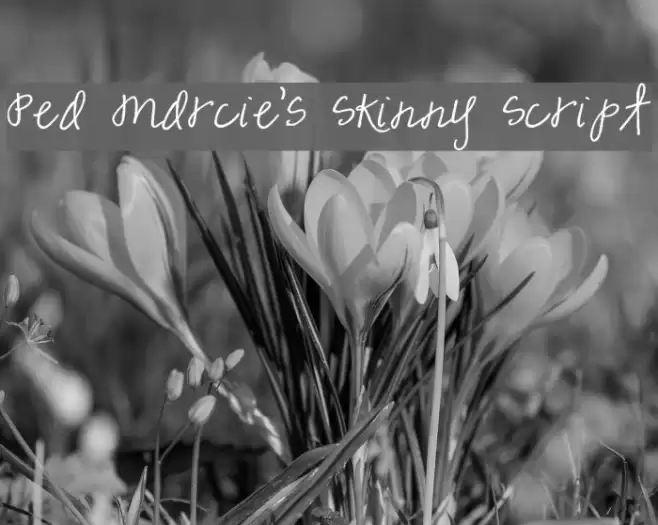 Pea Marcie's Skinny Script Font examples