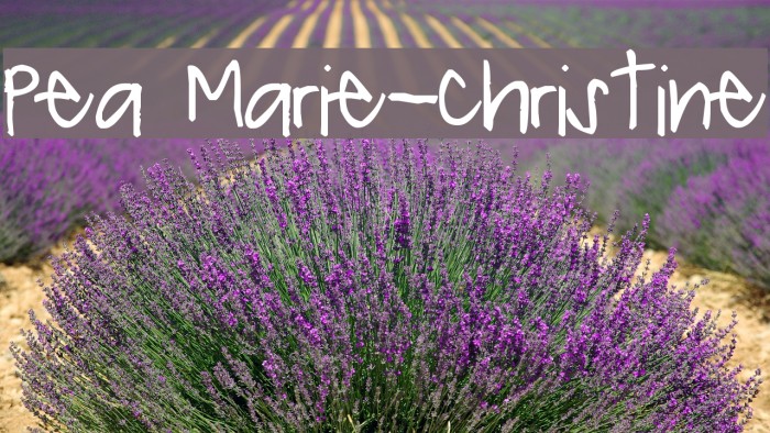 Pea Marie-Christine Example 3