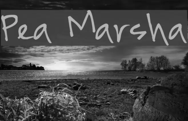 Pea Marsha Font examples