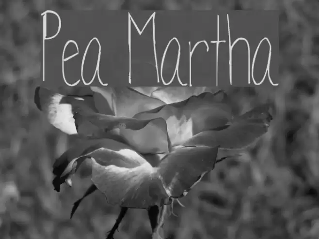Pea Martha Font examples