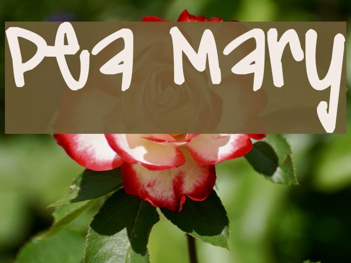 Pea Mary Font examples