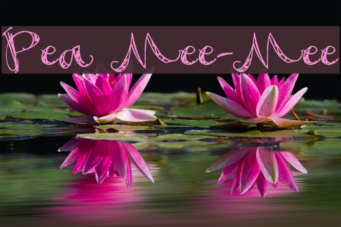 Pea Mee-Mee Font examples