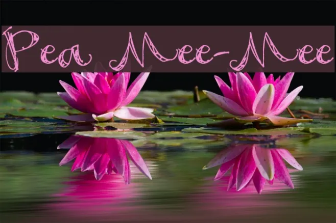 Pea Mee-Mee Example 2