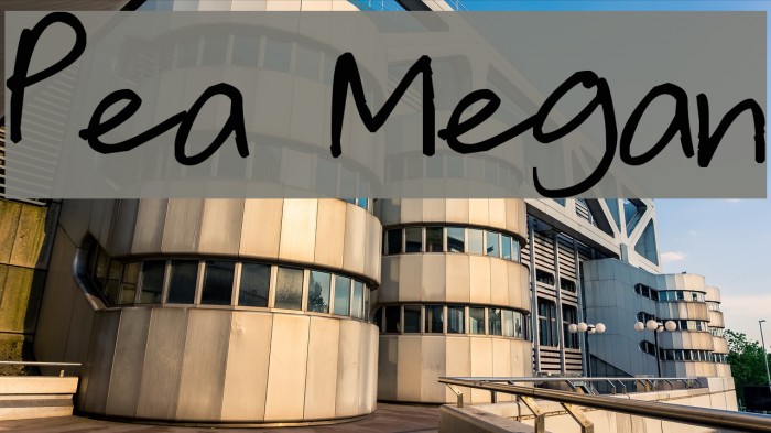 Pea Megan Font examples