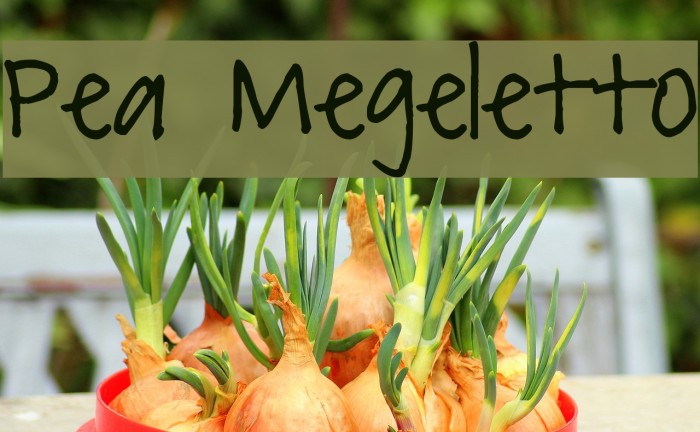 Pea Megeletto Font examples