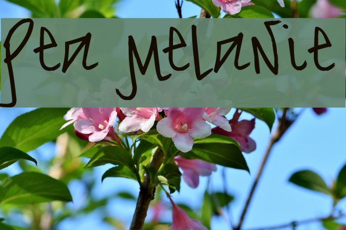 Pea Melanie Font examples