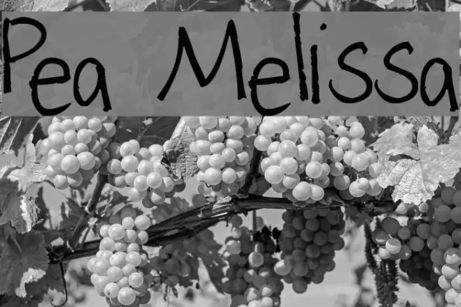 Pea Melissa Font examples