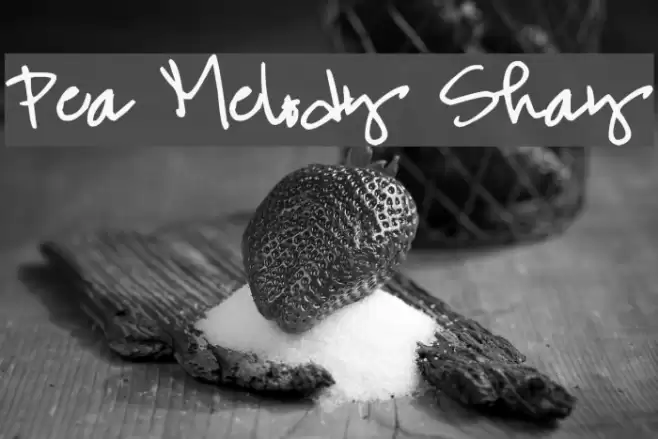 Pea Melody Shay Font examples