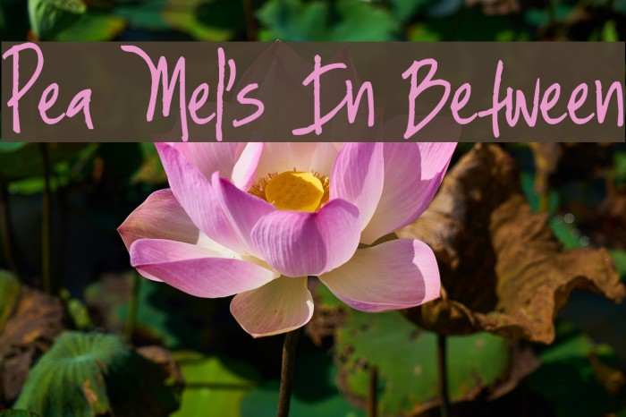 Pea Mel's In Between Example 2