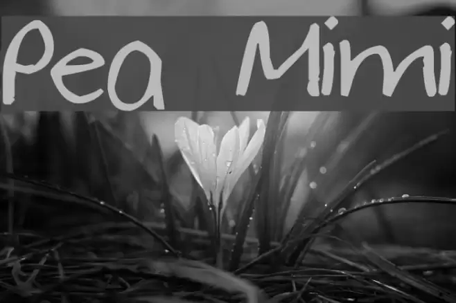 Pea Mimi Font examples