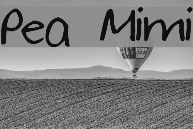 Pea Mimi Font examples