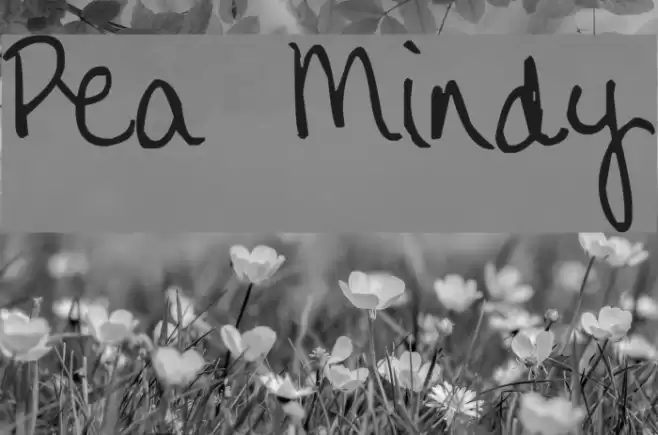 Pea Mindy Font examples