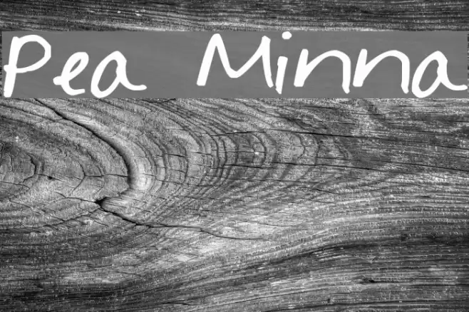 Pea Minna Font examples