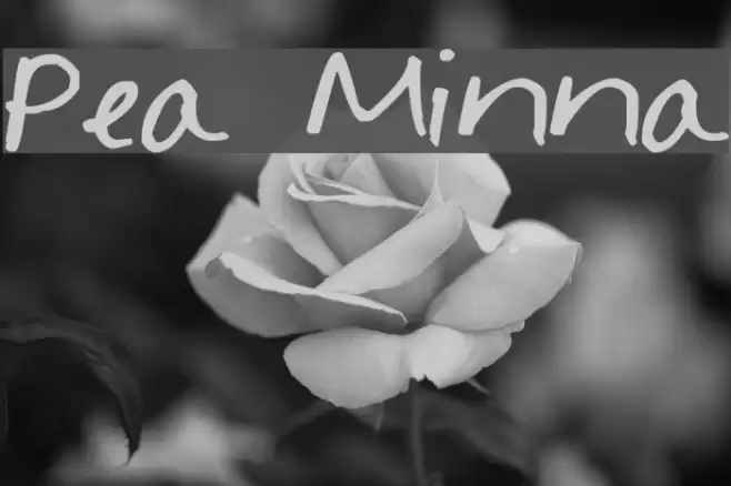 Pea Minna Font examples