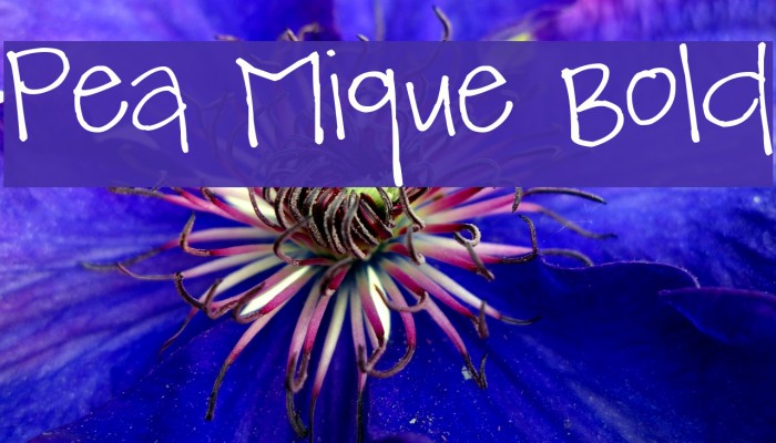 Pea Mique Bold Font examples