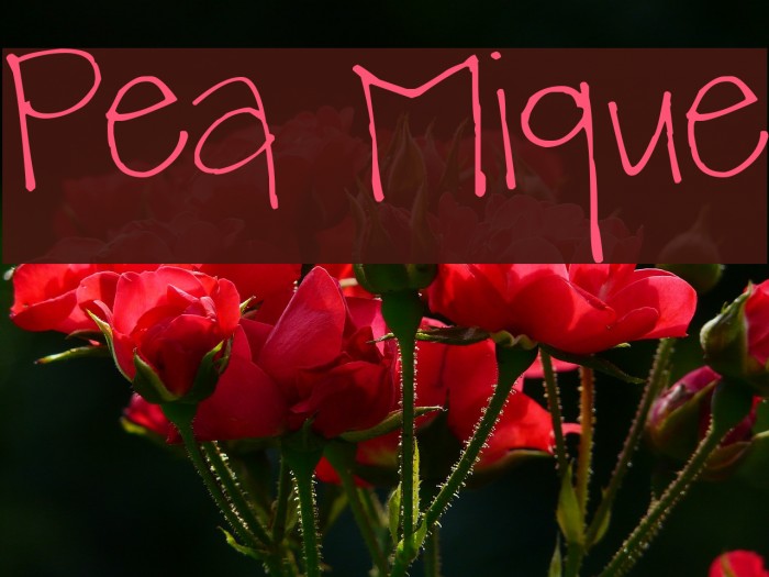 Pea Mique Font examples