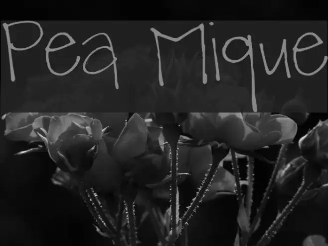 Pea Mique Font examples