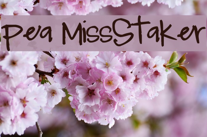 Pea MissStaker フォント examples