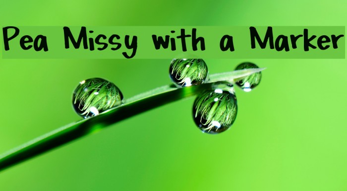 Pea Missy with a Marker フォント examples