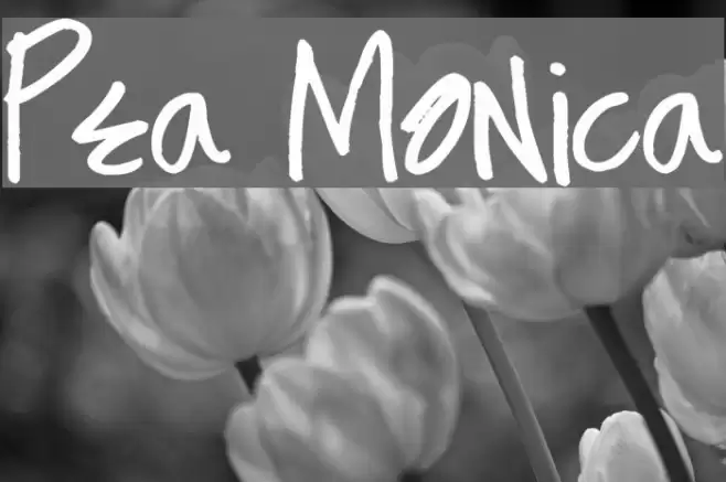 Pea Monica Font examples