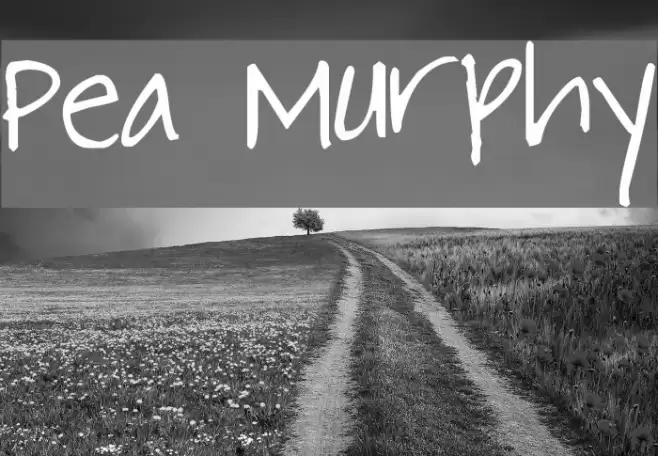 Pea Murphy Font examples
