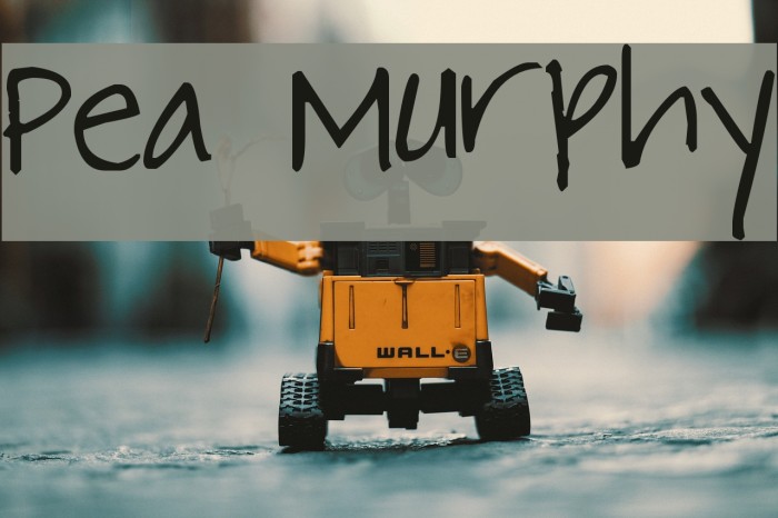Pea Murphy Font examples