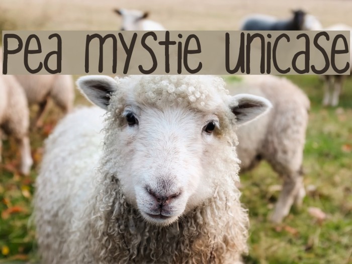 Pea Mystie Unicase Font examples