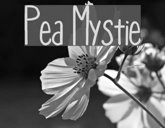 Pea Mystie Font examples