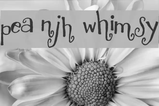 Pea NJH Whimsy Font examples