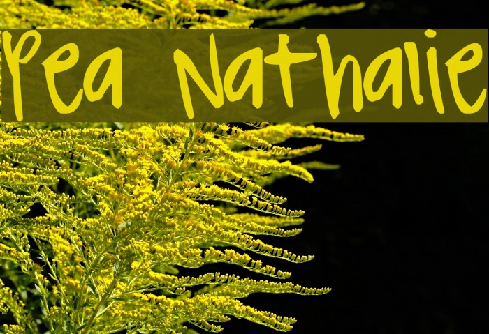 Pea Nathalie Font examples