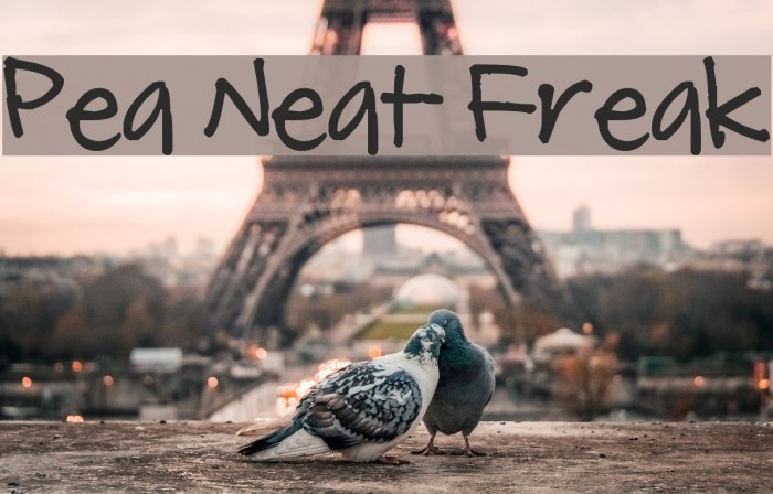 Pea Neat Freak Font examples