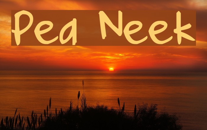 Pea Neek Font examples