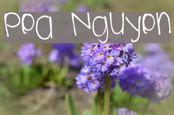 Pea Nguyen Font examples