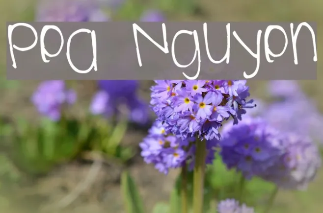 Pea Nguyen Example 1