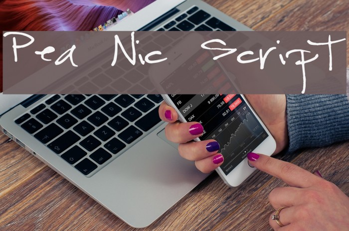 Pea Nic Script Font examples
