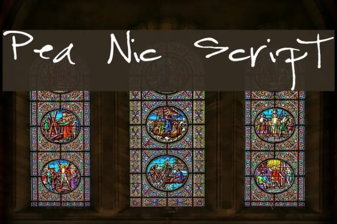Pea Nic Script Example 3