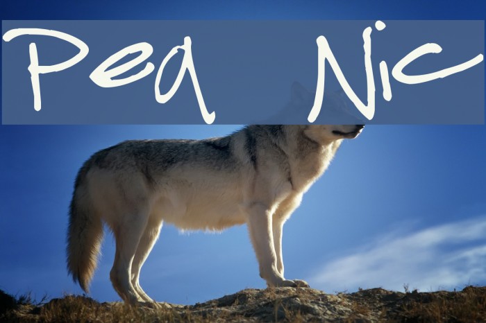 Pea Nic Font examples