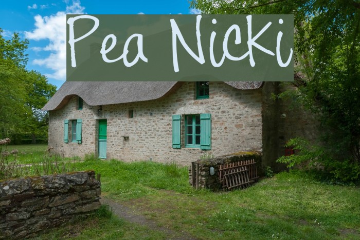 Pea Nicki Font examples