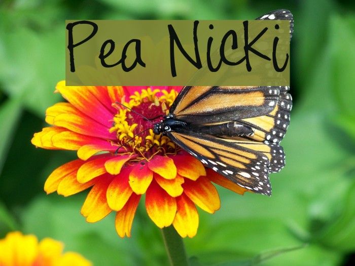 Pea Nicki Font examples