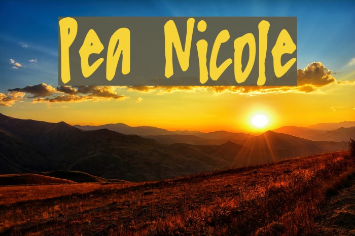 Pea Nicole Font examples