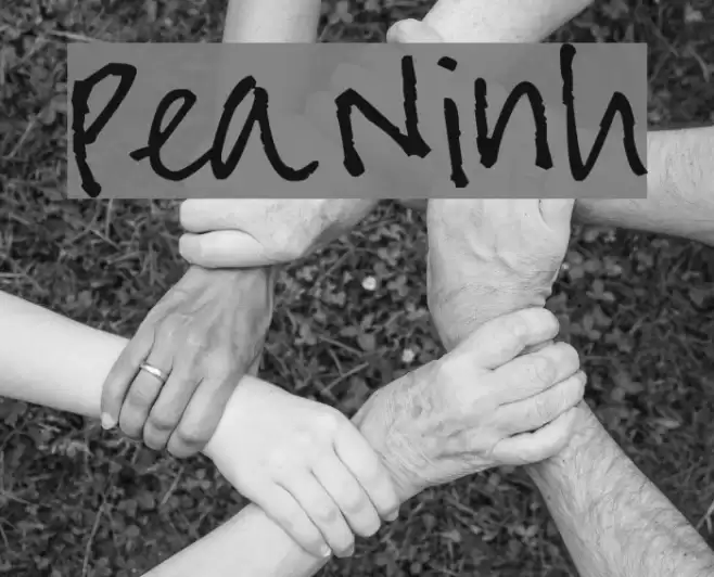 Pea Ninh Font examples